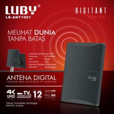 Antena Tv Digital Luby Lb-Ant 1001/ Antena Tv Digital Indoor & Outdoor Multicolor