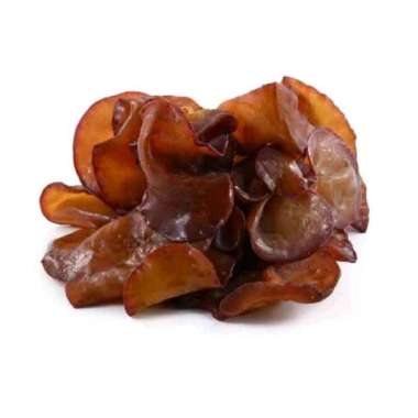 Jamur Kuping Hidroponik Curah 1 kg