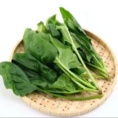 Horenso / Horenzo Organik Curah 1 kg
