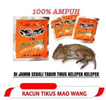 RACUN TIKUS MATI KERING DAN GAK BAU MAO WANG ORIGINAL PALING AMPUH LANGSUNG MATI UMPAN TIKUS