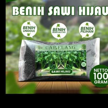 BENIH SAWI HIJAU CAP ELANG 100 GRAM bibit biji sawi hijau sawi bakso