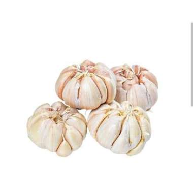 Bawang putih 1kg