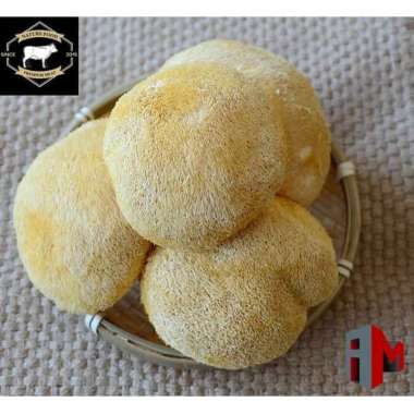 Hericium Kering | Jamur Kepala Monyet | Hou Tou Gu | Monkey Head Mushroom | Surai Singa