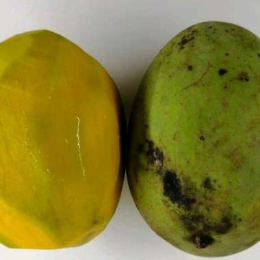 Mangga kweni 1 kg
