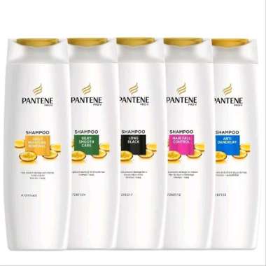 Promo Harga Pantene Shampoo Anti Dandruff 160 ml - Blibli