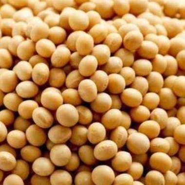 KACANG KEDELAI MENTAH LOKAL 250