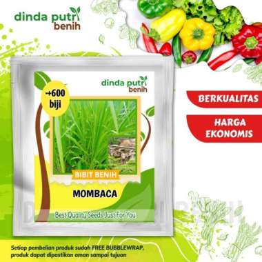 Benih Rumput Mombaca F1 isi benih 600biji asli agrimax