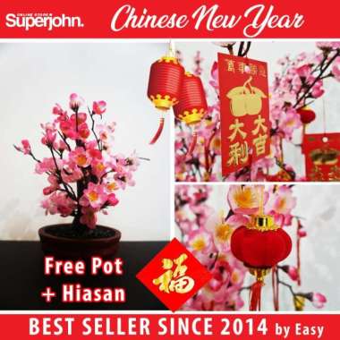Pohon Imlek Angpao / Bunga Sakura / Pohon Meihua Pink Sincia Bonsai 40 cm + Hiasan