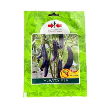 FreeOngkir 400 Butir Benih Bibit Unggul Terong Panjang Yuvita F1