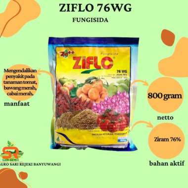 FUNGISIDA ZIFLO 90 WP 800 GRAM