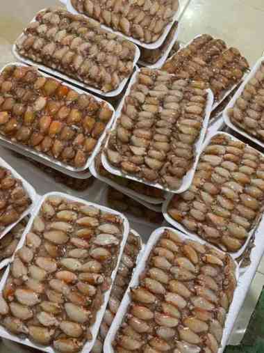 Daging Paha Capit Kepiting Kupas / Paha Capit / Capit Kupas Kepiting