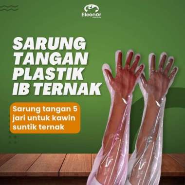 Plastik Glove Ib 5 Jari Sarung Tangan Inseminasi Buatan Sapi Kerbau