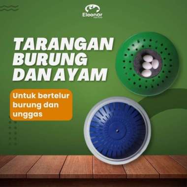 Angkreman Sarang Bertelur Burung Merpati Susuh Angkrem Burung Hijau