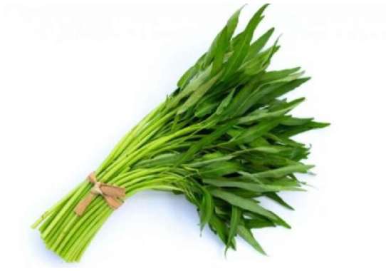 SayurHD Sayur Kangkung 1 Ikat