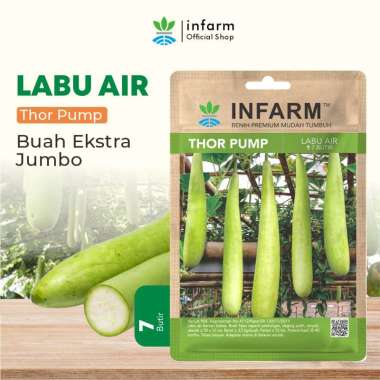 Bibit Labu Air Thor Pump Benih Labu Air Biji Labu Air Bibit Waluh Biji Waluh