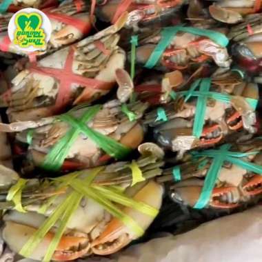 Kepiting Bakau | Kepiting Rajungan | Baby Crab | Fresh Frozen 1KG Kepiting Bakau 1KG