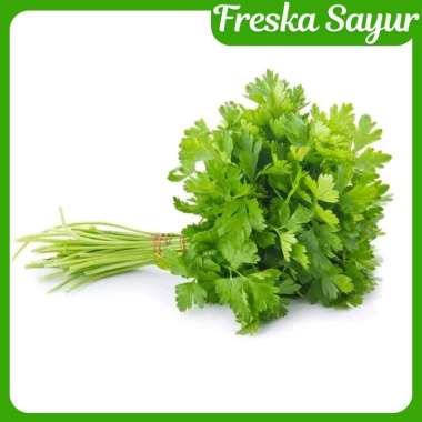 Daun Seledri Segar 250 gr  I Aroma Kuat, Cocok untuk Sop & Jus Sehat