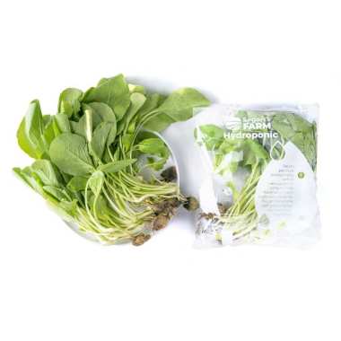 Baby Caisim Hidroponik Segari (250 gram / pack)