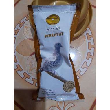 GOLD COIN PERKUTUT pakan burung