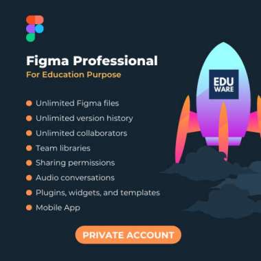 Figma Professional Edition Private