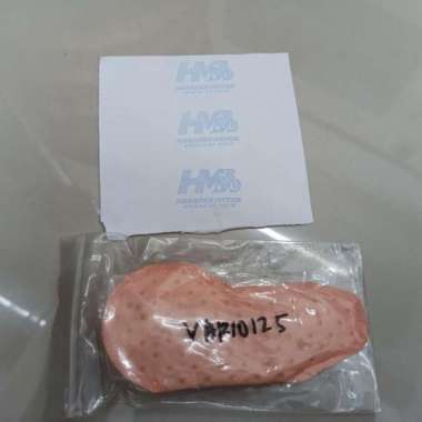Filter Bensin Vario125 KZR
