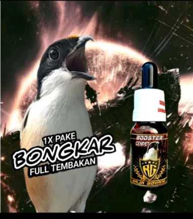RG BOOSTER CENDET VITAMIN PENGGACOR BURUNG CENDET BONGKAR MATERI