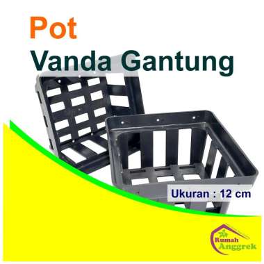 Pot Vanda Gantung 12 cm anggrek tanaman hias remaja dewasa tricolor kawat gantung rumah