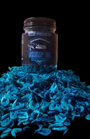 Udang Kering Carophyll Mr 88 Red Yellow Blue Super Pakan Ikan Channa Blue - 50Gr