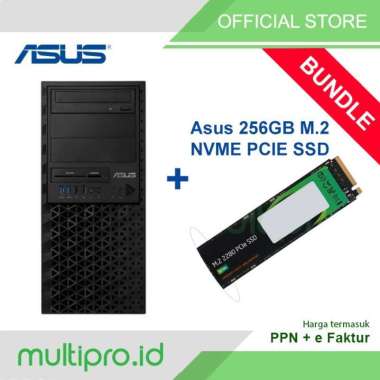 Asus Server TS100-E11-PI4 E-2324G 8GB 256GB + Harddisk Asus 256GB