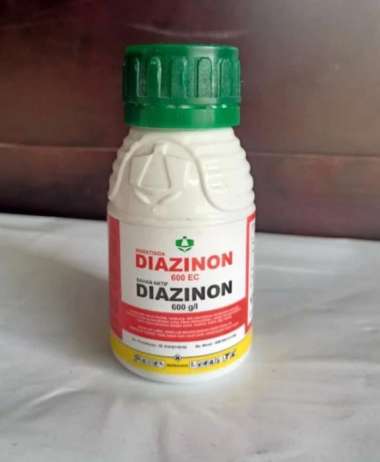 insektisida diazinon 100 ml pembasmi hama