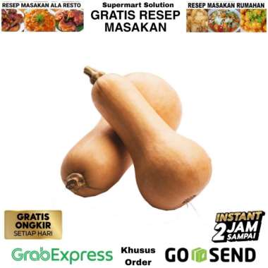 Labu Butternut / Labu madu / Butternut Pumpkin