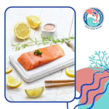 Salmon Fillet Belly/Salmon Fillet/Salmon Portion/Frozen Salmon Trout Perut