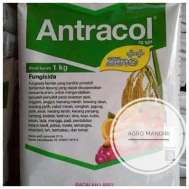 Antracol 70 WP 1 Kg Fungisida Kontak Pembasmi Jamur