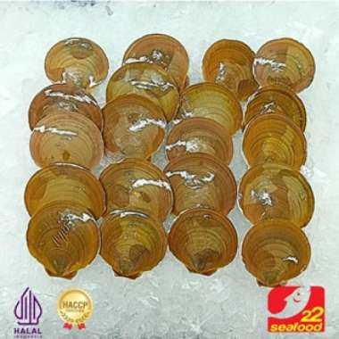 Kerang Simping 1 kg / Scallop / Seafood 22