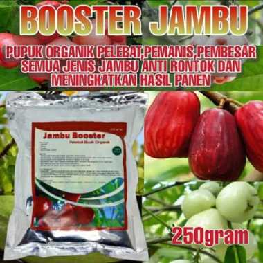 Pupuk Jambu Booster Organik Pelebat Pemanis Buah Jambu