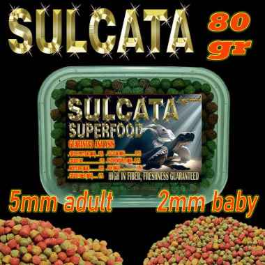 SULCATA SUPERFOOD PELLET SUPER MAKANAN TORTOISE CENTHROCHELYS SULKATA KURA-KURA DARAT PAKAN TORTO AD