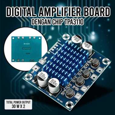 Tai&SH Digital Amplifier Board 30W x 2 TPA3110