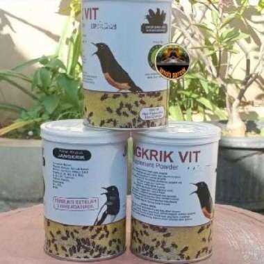 PAKAN KHUSUS JANGKRIK UNTUK BURUNG MURAI KACER JANGKRIK VIT