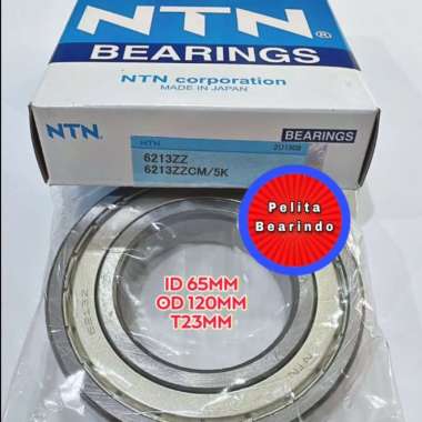 Bearing 6213 ZZ NTN 6213ZZ