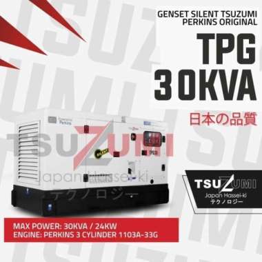 Perkins TPG 30 KVA Genset Diesel Silent