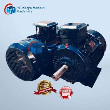 Marelli Motori Electric Motor MOT.3 MA 160M-2 11 kW 3 Phase 13.2 kW 4 Phase
