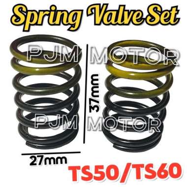 TS50 Spring Valve Per klep mesin diesel pengerak Yanmar TS60