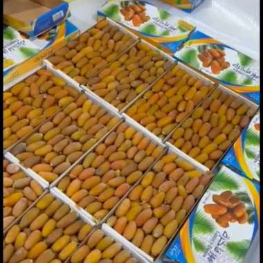 Kurma Ruthob kemasan 1 kg