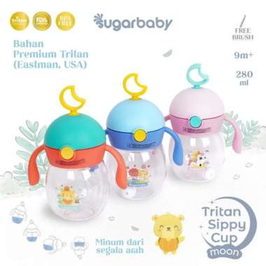 Sugar Baby Tritan Sippy Cup 240ML 9M+ / Botol Minum Sugar Baby 240ML Green Star