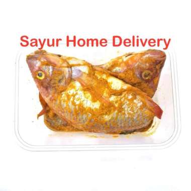 SayurHD Ikan Nila Merah Bumbu Kuning 1 Kotak Siap Goreng