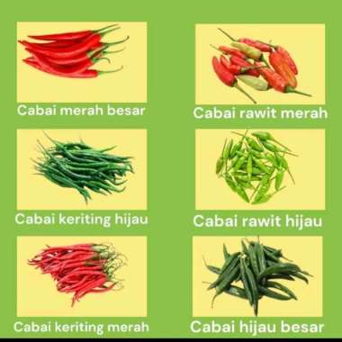CABAI 250GR | RAWIT MERAH | RAWIT HIJAU | KERITING MERAH | KERITING HIJAU | CABAI MERAH | CABAI HIJA