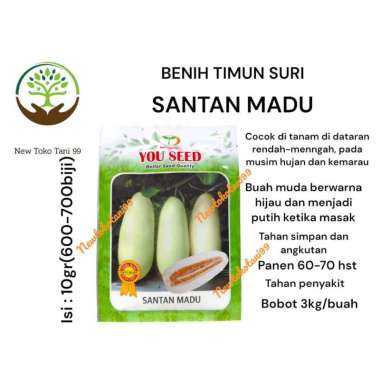 Benih timun suri SANTAN MADU 10 gram timun suri putih dari you seed tahan penyakit