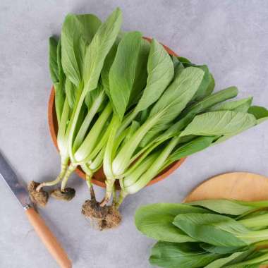 Pakcoy Hidroponik Segari (250 gram / pack)