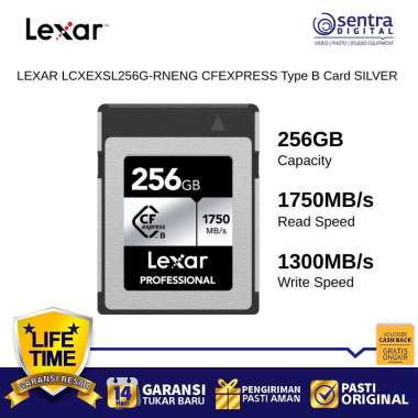 LEXAR Silver 256GB CFexpress Type B Memory Card High Performance for 4K RAW Video and Burst Photogra