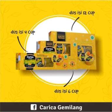 Carica Gemilang Segar Buah Carica Minuman Segar Carica Pepaya Dieng Wonosobo (Jakarta Timur) 1 Box 4